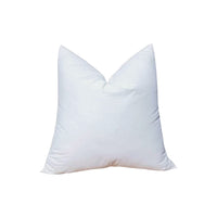 Pillow Inserts 22 x 22 in