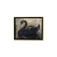The Swan - noir