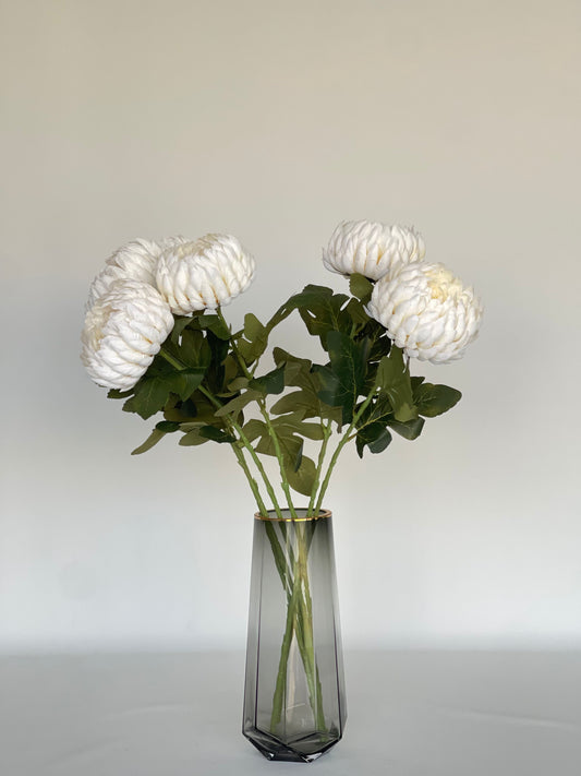 Clotted Cream Chrysanthemums