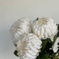 Clotted Cream Chrysanthemums