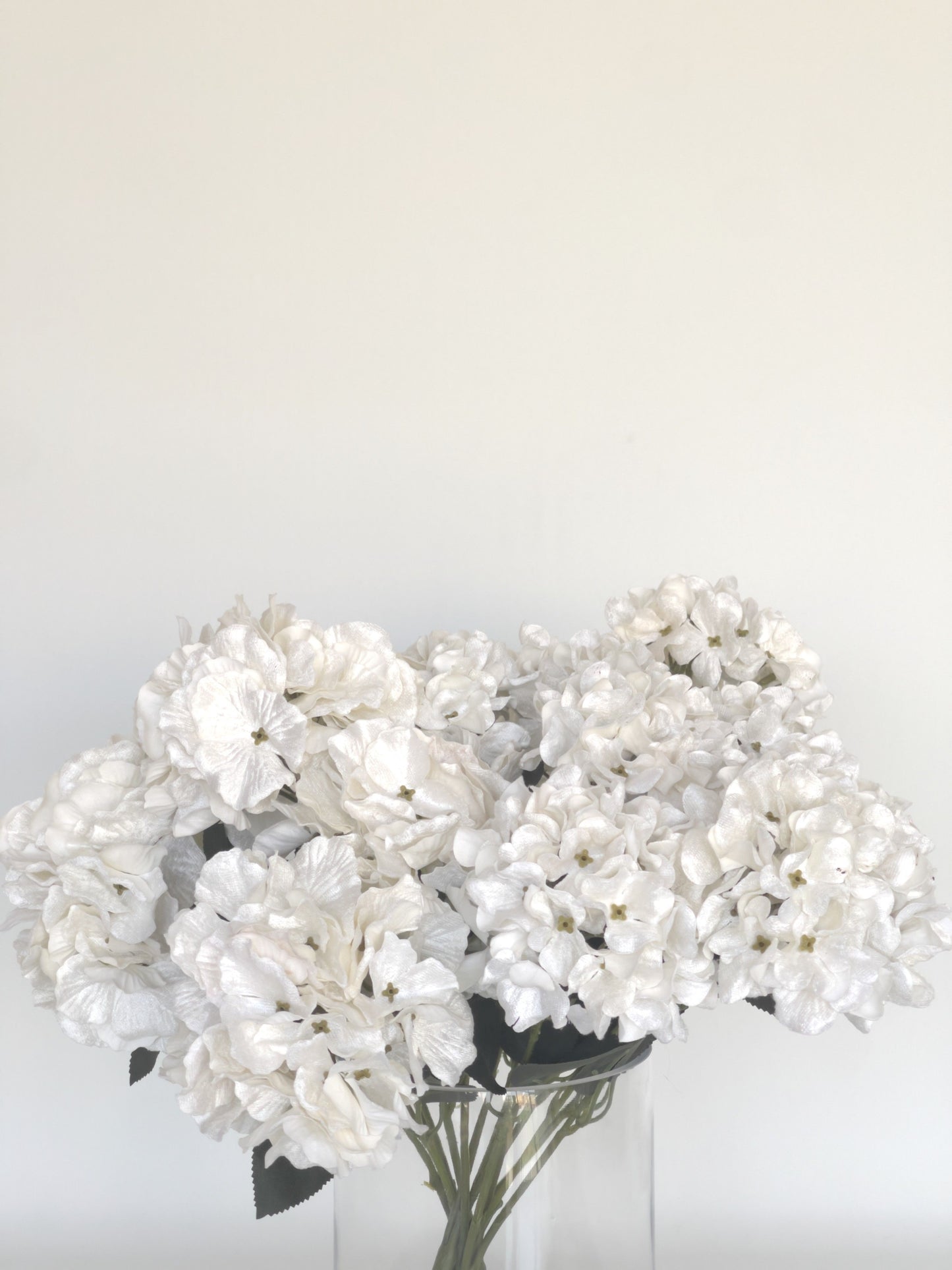 Clotted Cream Luxe Limited Edition Hydrangeas