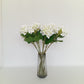 Vanilla Sky Long Stem Hydrangeas