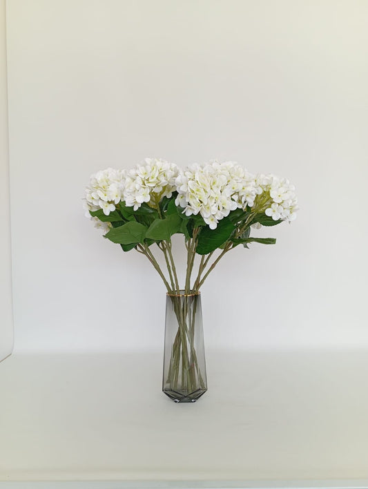 Vanilla Sky Long Stem Hydrangeas