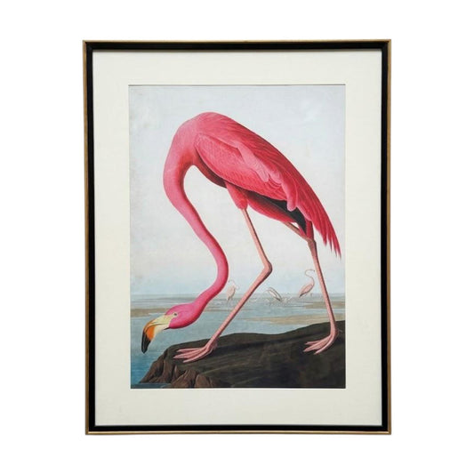 The Audubon Flamingo